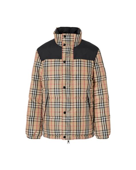 cazadora burberry hombre|Abrigos y chaquetas de marca para hombre .